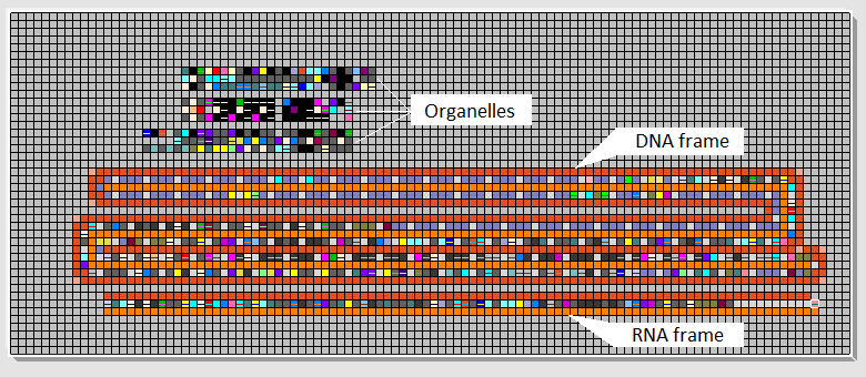 World-Cell Description
